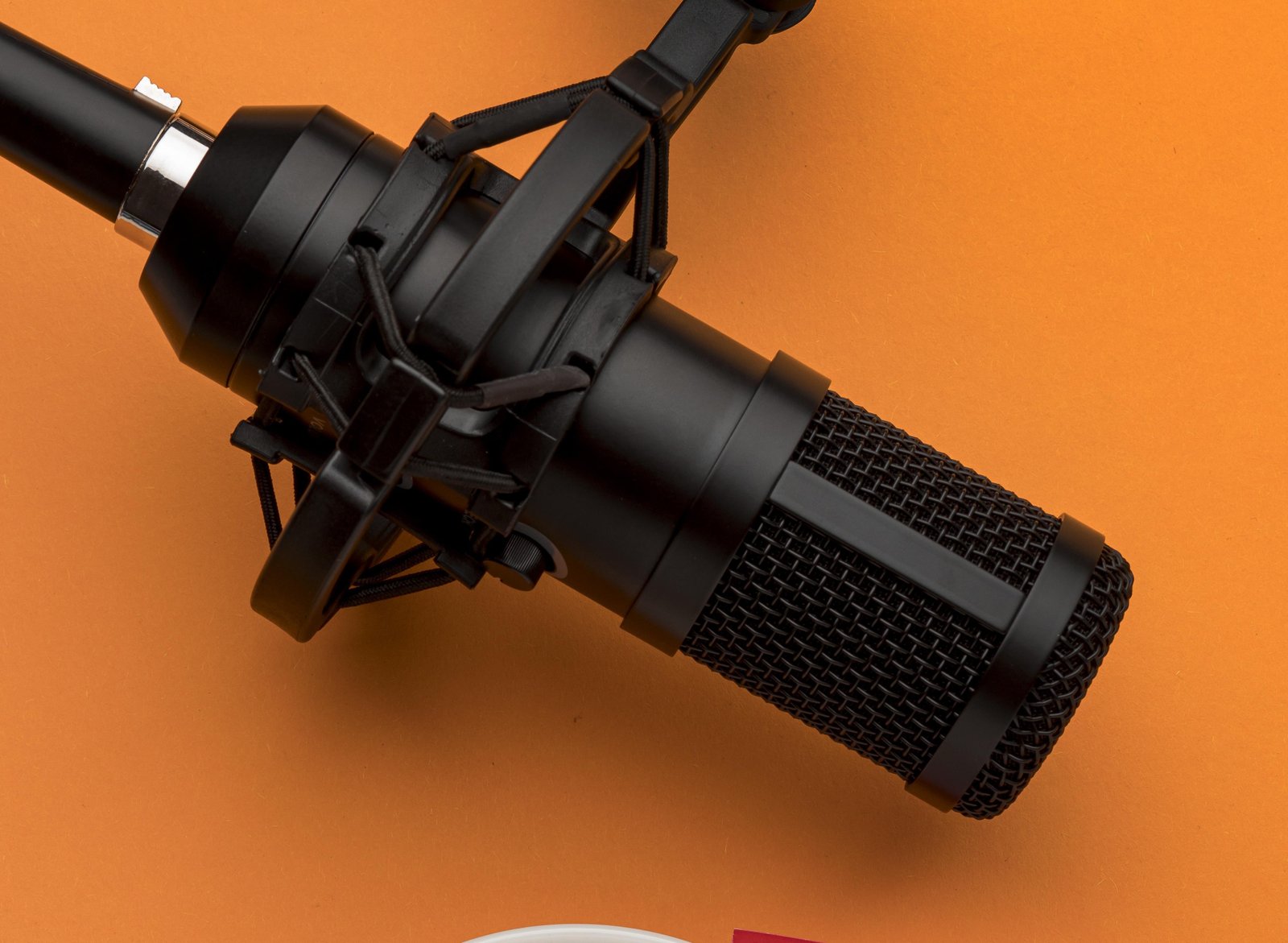 Moundy Rose: The Real State of Modern Entrepreneurship