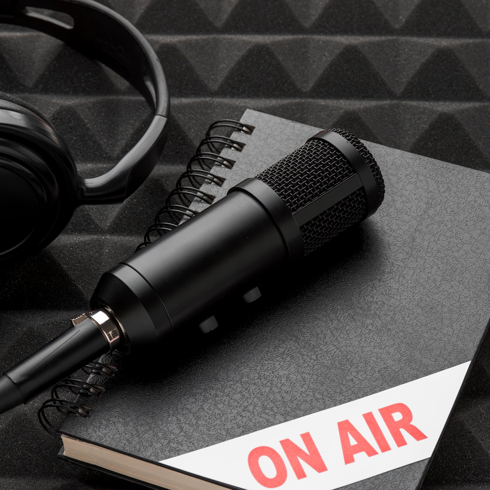 Talkiepedia: What’s Coming Next on Our Podcast?
